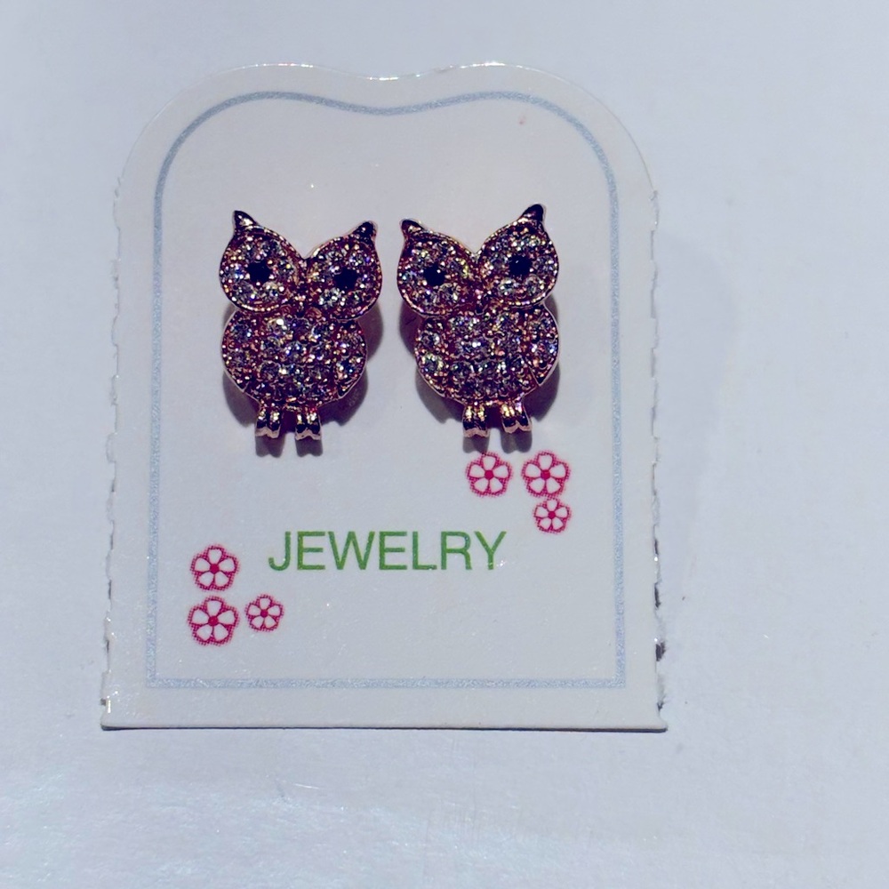 Owel earring 
Sterling silver